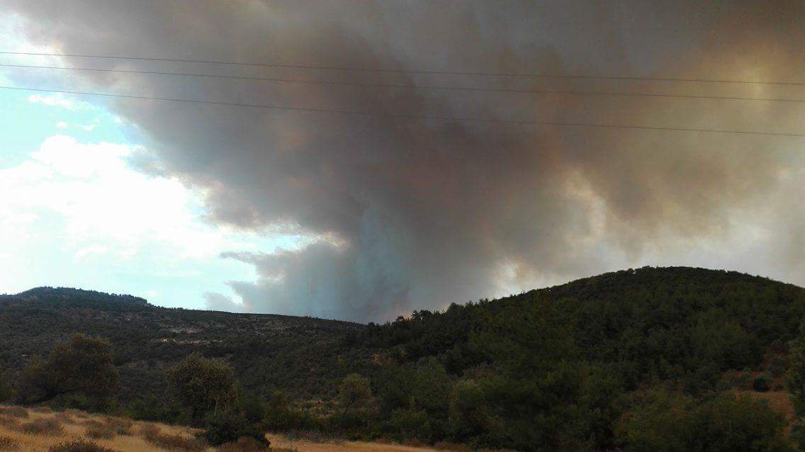 Пожар гори на гръцкия остров Тасоса. Пожарът е в района на Лименария.