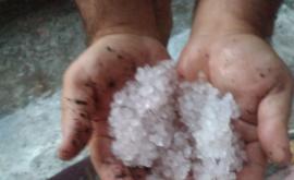  Градушките са унищожили изцяло 72 000 декара посеви 