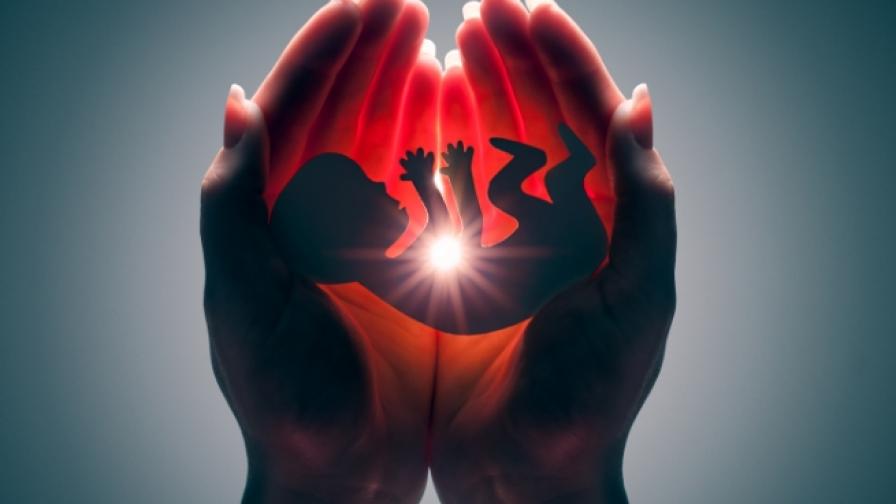  По 60 аборта приблизително дневно в България, първи сме в Европейски Съюз 