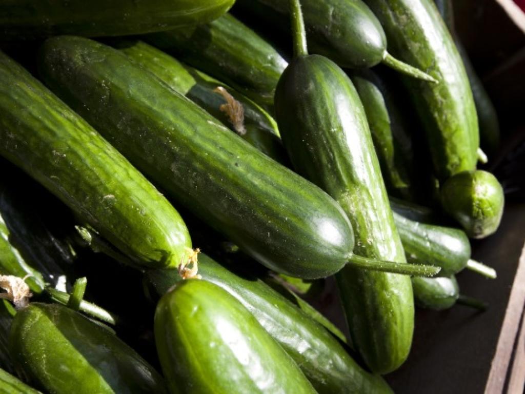 Олга Воронова експерт от Съюза на градинарите в Русия обясни