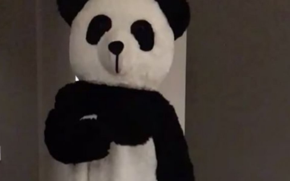 ВИДЕО: Коя е тази панда?