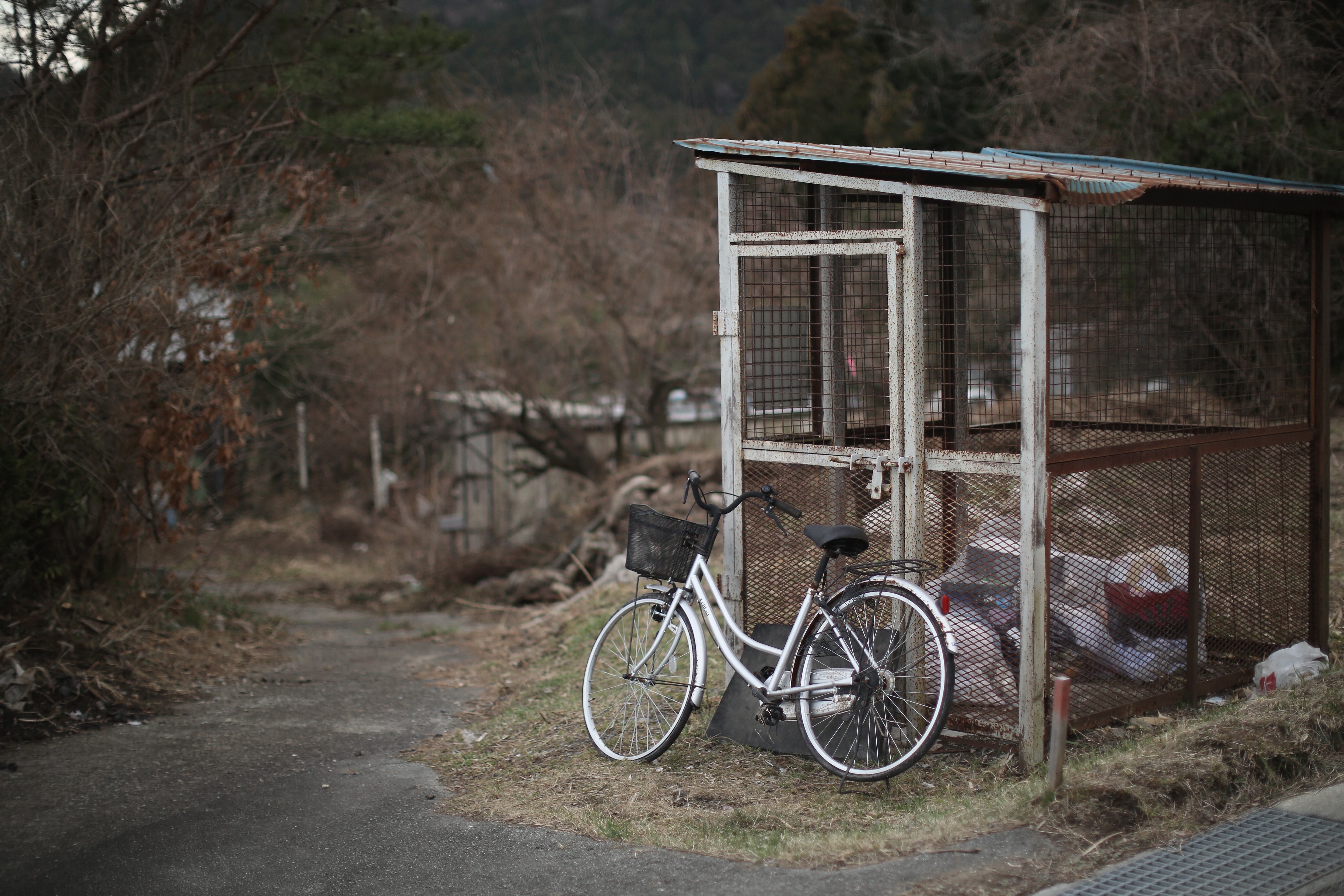 Gрадската зона край японската ядрена централа изглежда като извадена от апокалиптичен филм – недокосната и необитаема