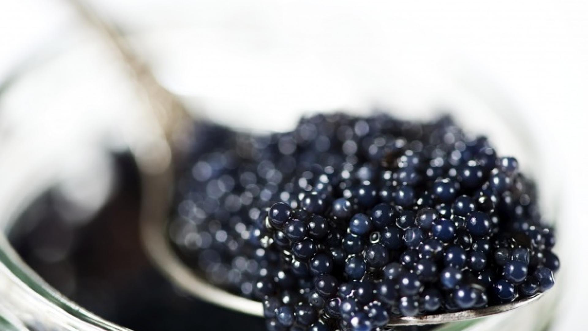 Когато Делфина Дабезиес за първи път обяви плановете си да