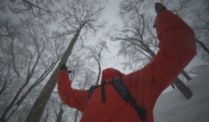 Между снежните дървета в Алпите със сноуборд (видео)