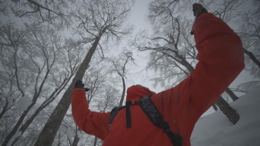 Между снежните дървета в Алпите със сноуборд (видео)