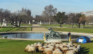 Ето това е невиждано край Лувъра