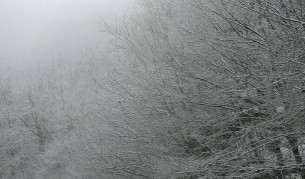 Жертва и спасен в ледената буря