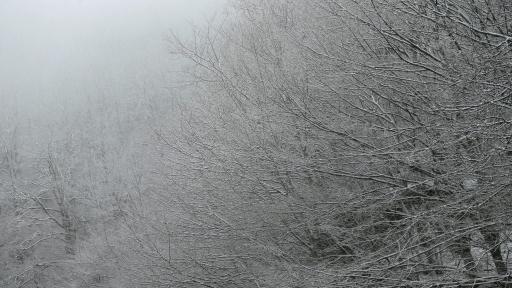  Довечера зимата се връща, до 20 градуса и плевел вятър през днешния ден 
