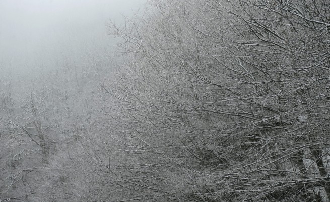  Довечера зимата се връща, до 20 градуса и плевел вятър през днешния ден 
