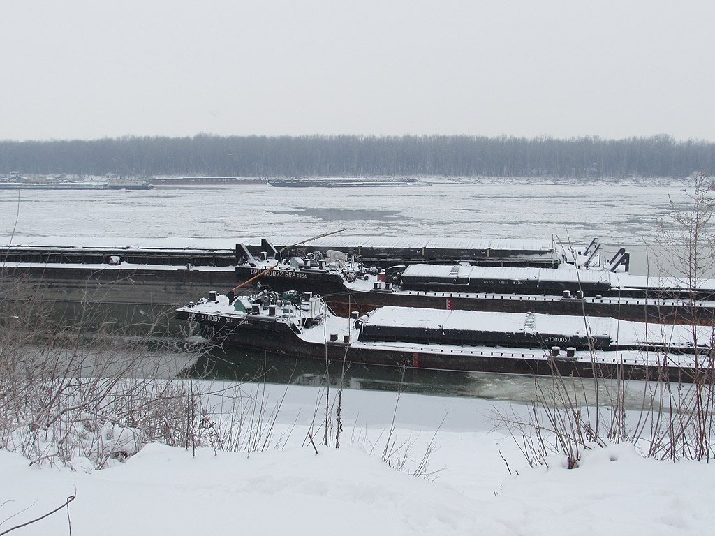 Забраниха от днес корабоплаването по река Дунав в българо-румънския участък, съобщиха от дирекция „Речен надзор“ в Русе. Решението е съгласувано с дирекцията в Лом и с румънската страна, където ледоходът на места е 100 процента.