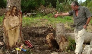 Ликът на Христос се появи на дърво в Аржентина