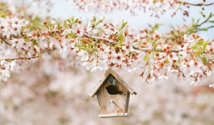 <p>Какво време ни очаква през уикенда</p>