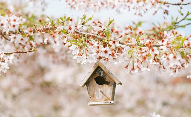 Топ 7 дестинации, които да посетите през пролетта