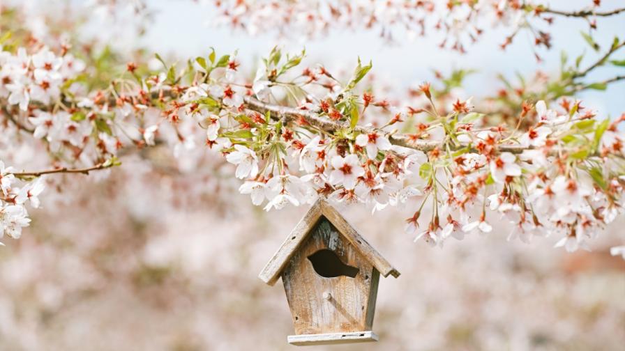 <p>Какво време ни очаква през уикенда</p>