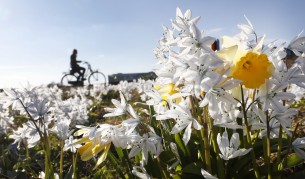 На днешния празник не излизайте гладни и без пари