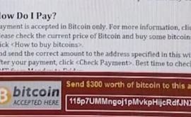  Вирусът WannaCry желае от потребителите да платят откуп за заключените си данни 