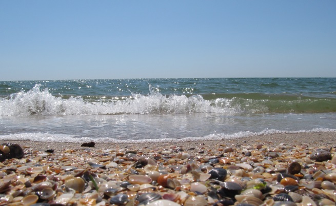  Черно море изхвърли над 100 кг кокаин 