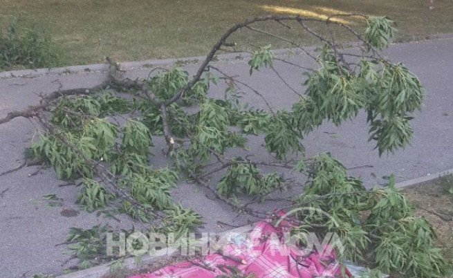  Падналият клон 