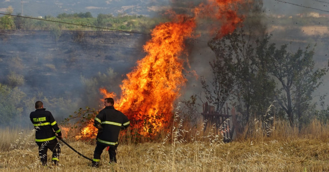 Пожар пламнал в местността Баларбаши над Благоевград В късния следобед