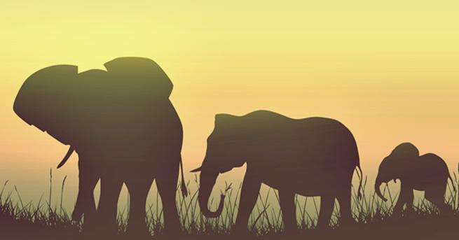 Преди половин милион години Арабският полуостров далеч не е бил