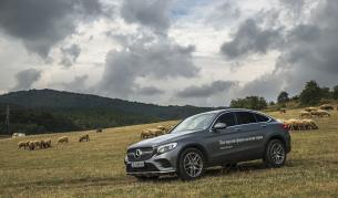 Mercedes Benz GLC Coupe тест драйв