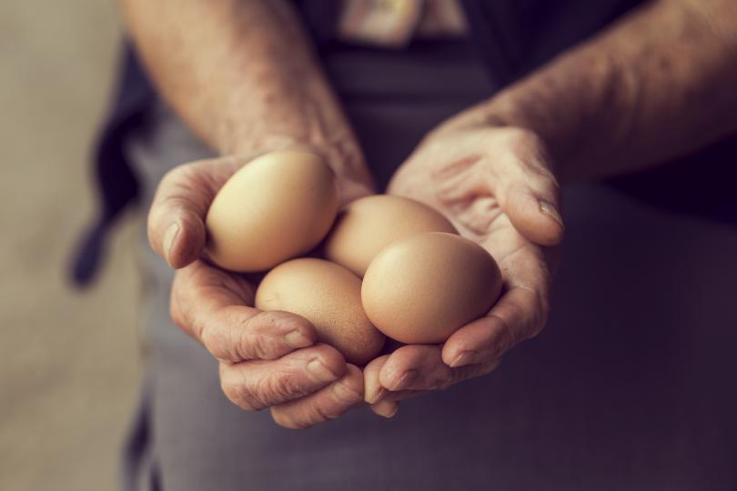 <p><strong>Яйцата </strong></p>

<p>Както бе споменато в първото проучване, яйцата са богат източник на лутеин - естествен каротеноид. Лутеинът с помага за предотвратяване или забавяне на когнитивния спад в експерименталните проучвания. Що се отнася до мозъчната енергия, първичната стойност на яйцата е в съдържанието на аминокиселини. Яйцата също така подпомагат ученето и паметта, като подпомагат производството на норадреналин, допамин и GABA (медиатор &ndash; релаксант в мозъка,GABA се свързва със състояния на спокойствие и умствена концентрация.)</p>