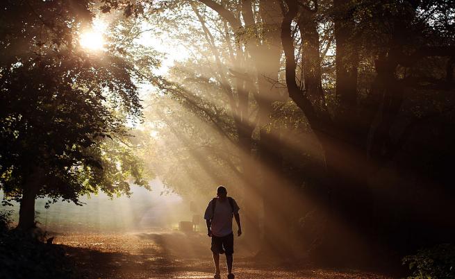  Мъж върви в английски парк през 2011. 