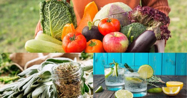 Човешкият оганизъм не се нуждае от лекарства за да бъде