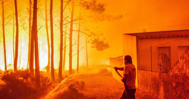 Над 40 души загинаха в поредица от горски пожари които
