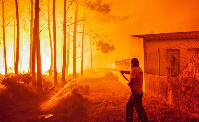  Горски пожари в средата на октомври опостушиха големи горски и селищни площи и взеха десетки жертви в Португалия 