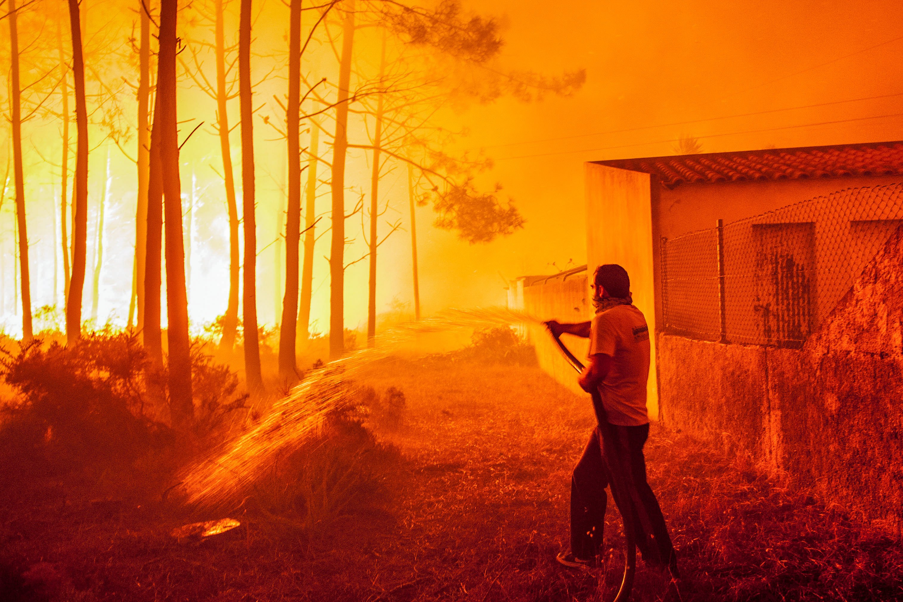 Горски пожари в средата на октомври опостушиха огромни горски и селищни площи и взеха десетки жертви в Португалия