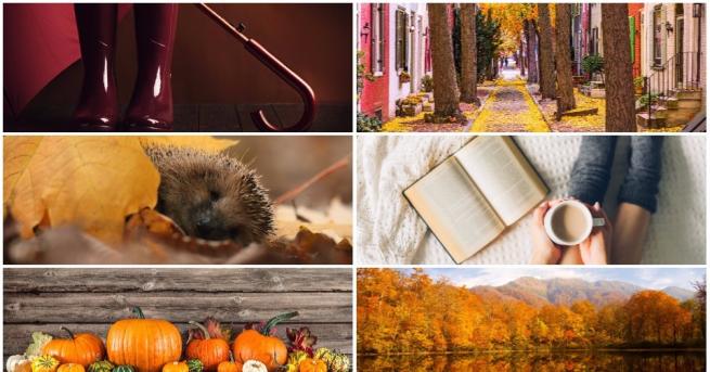 Всички ние искаме да имаме красиви теми които да украсяват