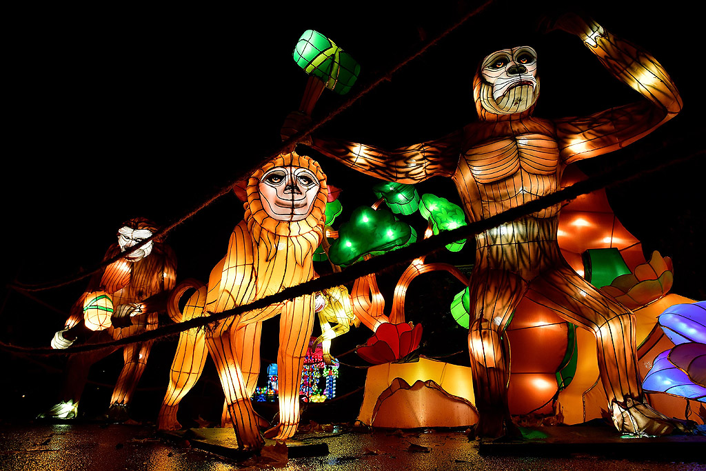 Светещи фигури в тъмнината на зоологическата градина в Кьолн, Германия. Фестивалът ще продължи до 6 януари 2018 г. и включва 46 светлинни инсталации в азиатски стил, осветяващи зоологическата градина