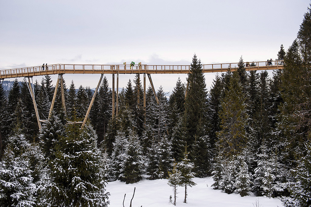 Туристи се разхождат и правят снимки по високия 24-метров дървен мост, водещ до наблюдателната 32-метрова кула в Бахледова долина в планината Татри близо до Ждяр, северна Словакия. В близко бъдеще ще работи и 67-метрова пързалка с която ще се съкрати времето за спускане от кулата. Пътеката е отворена целогодишно, билетът за възрастни струва 8 евро, като има отстъпки за деца, възрастни и семейства.