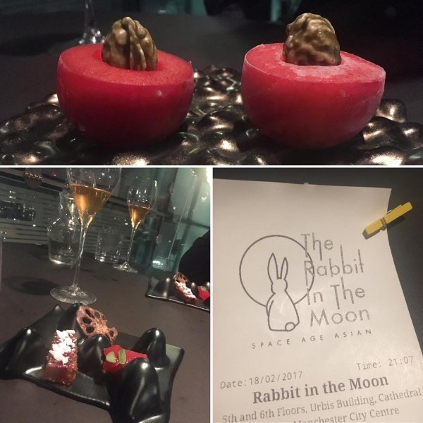 Rabbit in the Moon1