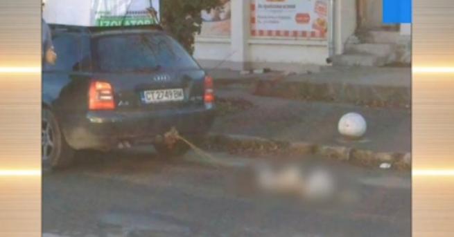 Куче беше влачено от кола в центъра на казанлъшкото село