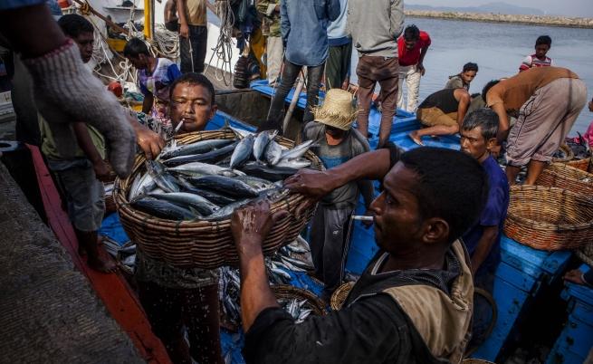  Голяма част от улова на риба се изхвърля. 