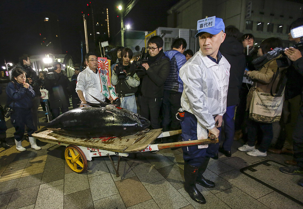На новогодишния търг през 2013 г. Кимура плаща рекордните 1,75 млн. долара за една-единствена риба червен тон, побеждавайки конкурент от Хонконг. През 2016 суши-готвачът даде 117 000 долара за 200-килограмова риба.