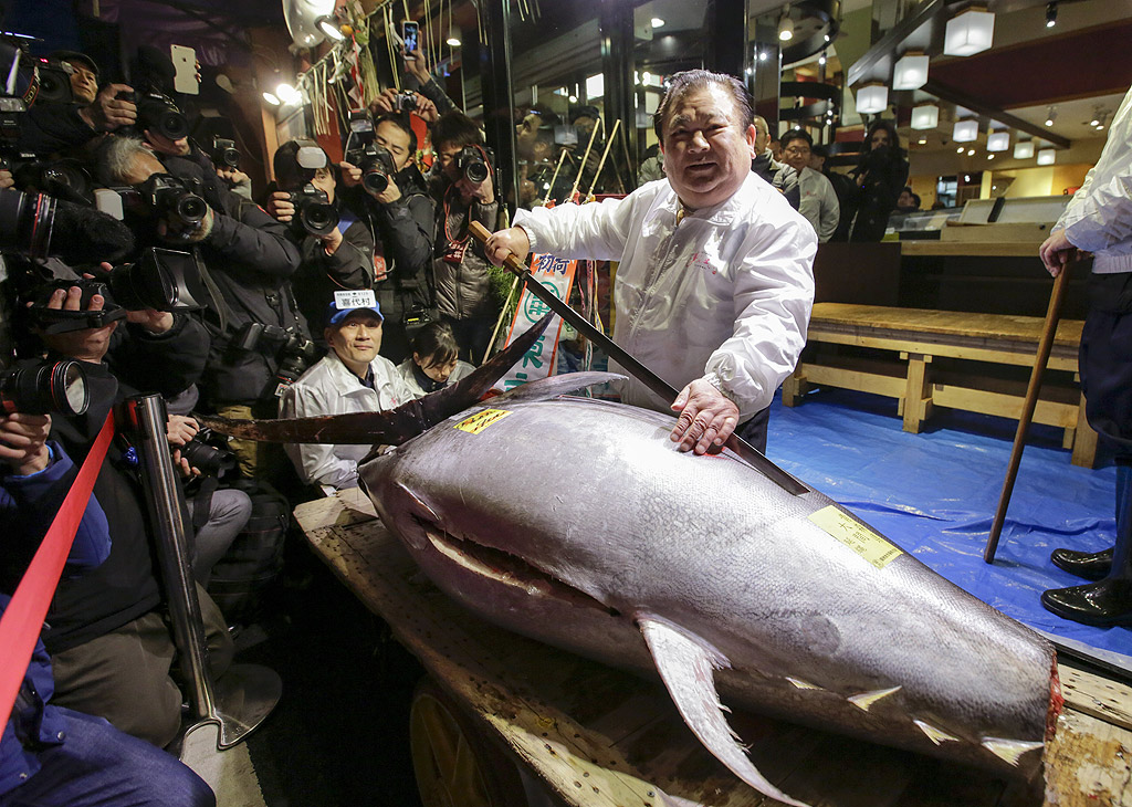 Червен тон с тегло 405 кг, който бе основният лот на рибния търг на прочутия пазар за морски дарове в Токио Цукиджи, беше продаден на първия тазгодишен търг за 36,45 милиона йени (323 хиляди долара). Сумата съобщиха организаторите на търга.