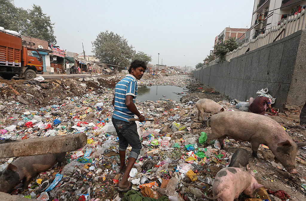 Реката няма практически воден живот. Измеренията на замърсяването са толкова тревожни, че Централната комисия по контрол по замърсяванията при Индийското правителство трябваше да обяви, че не е останала и една капка естествена вода в Ямуна, течаща през Вриндавана.