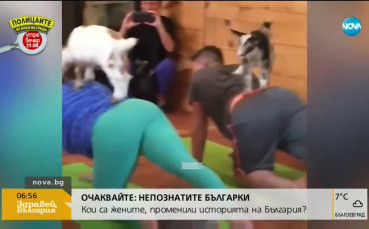 Най-новият хит: Йога с козлета
