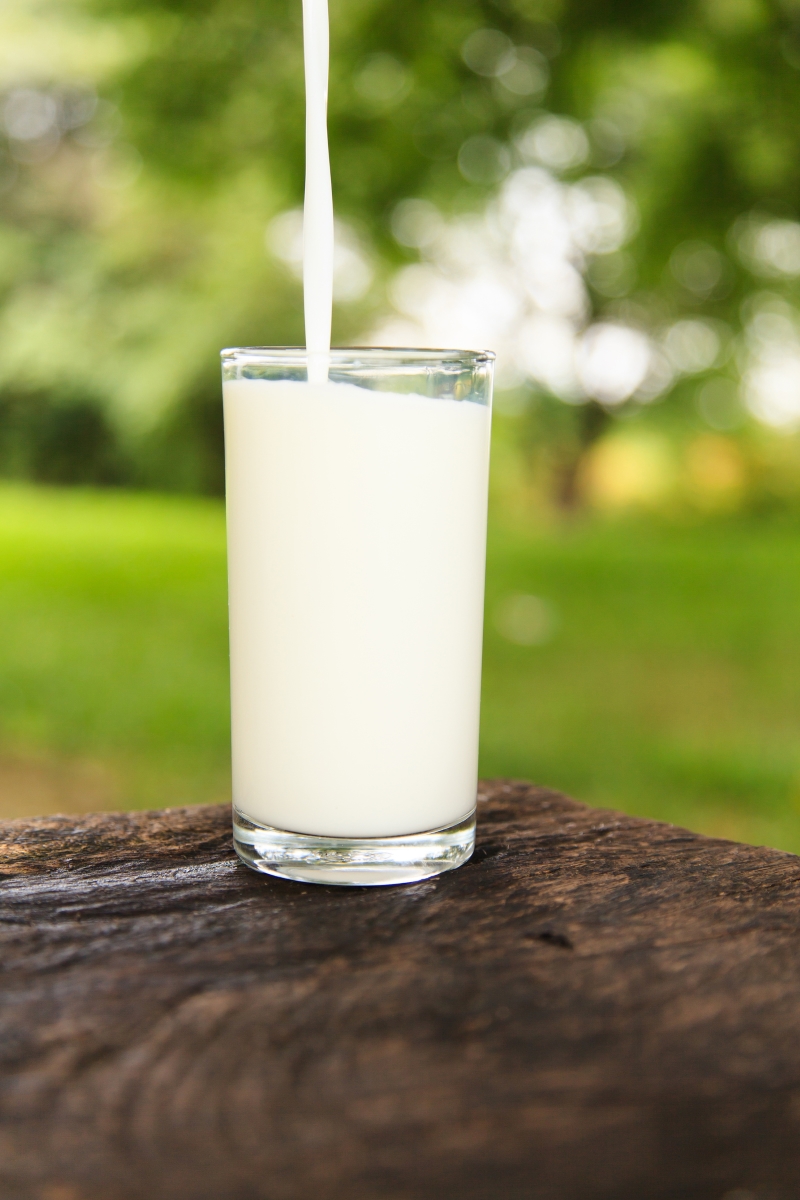 Пийте мляко за здрави кости: не е точно така. Не всички успяваме да усвоим калция от млякото и ако прекаляваме с него, може да има противопоказен ефект.