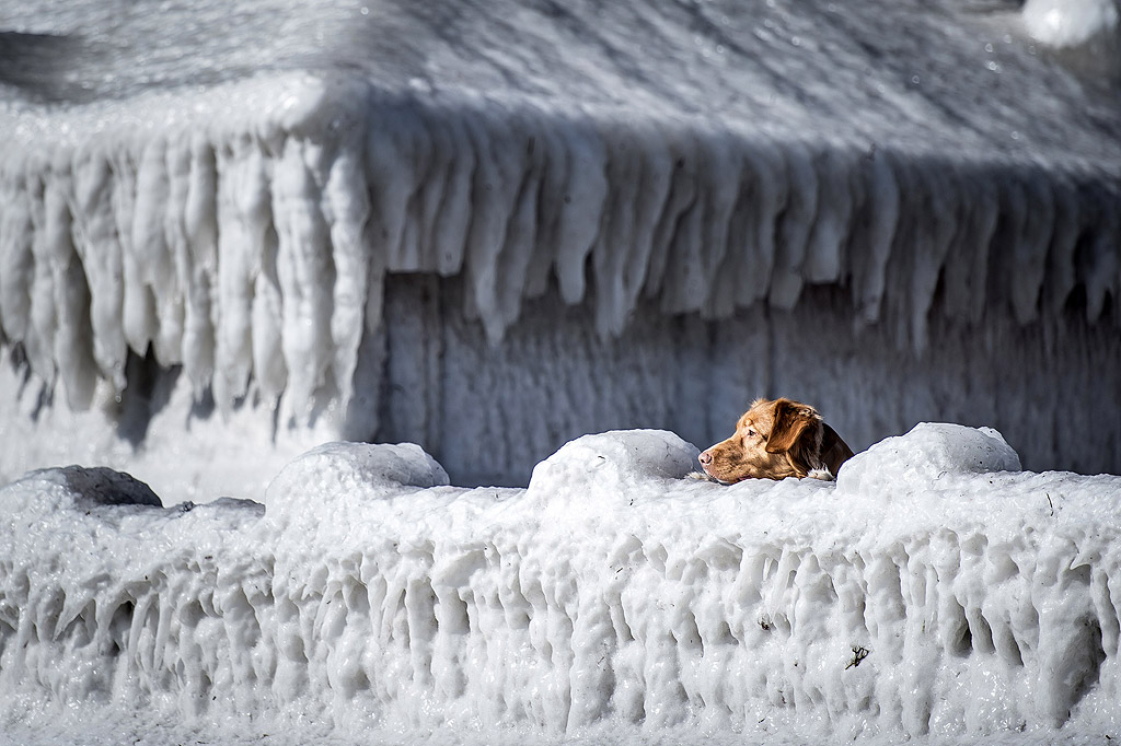 Къща е обгърната от лед на брега в залива Факсе, южно от Копенхаген, Дания,