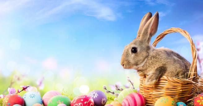 Климатологът доц Георги Рачев обеща времето за предстоящите празнични дни