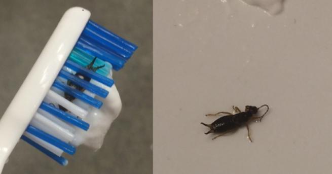 Има ситуации за които казваме че ако не сме видели