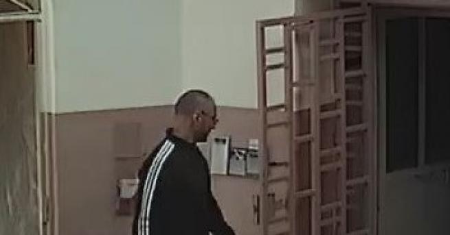 Преди две или три седмици Владимир Пелов се е укривал