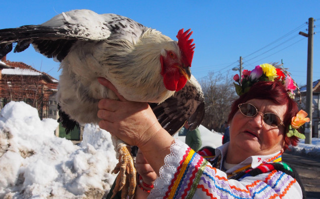 Само ден след култовата мечка която даде първия съдийски сигнал
