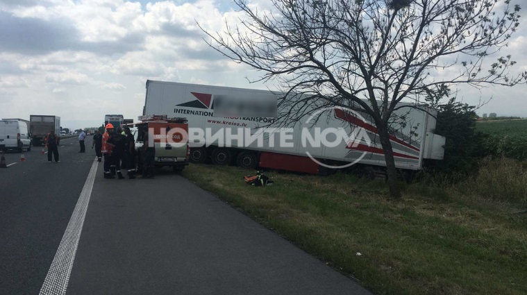 Пиян не, но дрогиран бил шофьорът, убил семейството на АМ "Тракия"