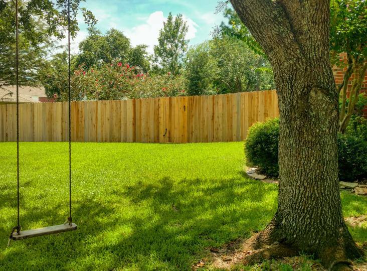 <p>Преди да се покатерите по оградата, за да видите точно колко по-зелена е ливадата на съседа, вземете да полеете вашата собствена трева.</p>
