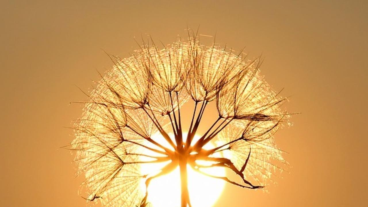 Снимка: pixabay.com